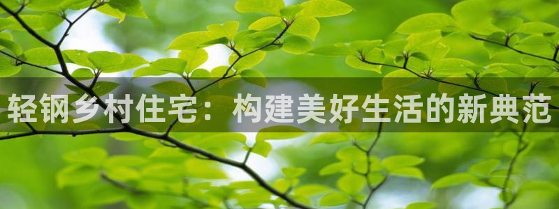 意昂体育3官方客服电话：轻钢乡村住宅：构建美好生活的新典范