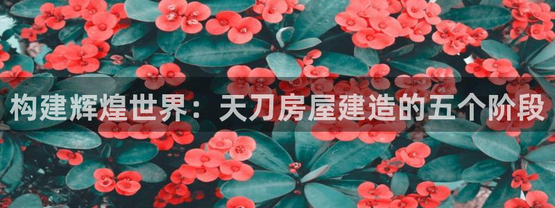 意昂3新能源：构建辉煌世界：天刀房屋建造的五个阶段