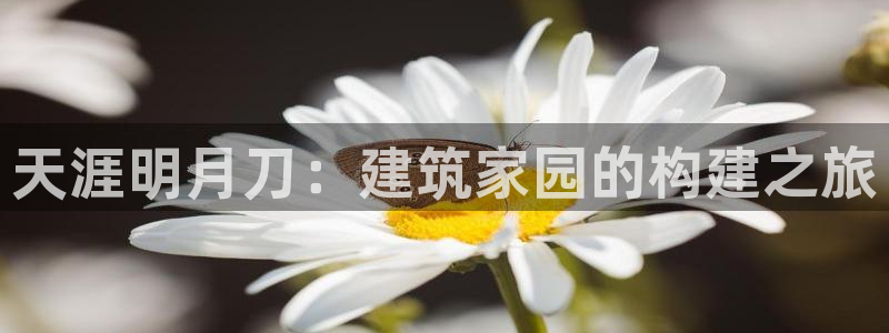 意昂体育3官方客服电话
