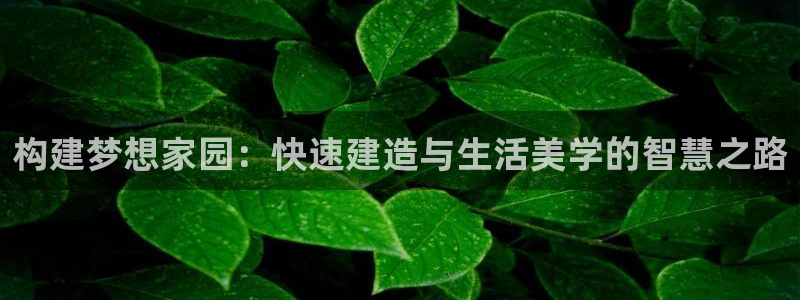 意昂体育3是干嘛的公司：构建梦想家园：快速建造与生活美学的智慧之路