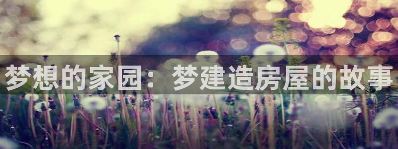 意昂3集团：梦想的家园：梦建造房屋的故事