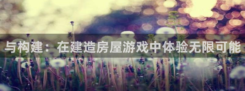 意昂体育3注册：与构建：在建造房屋游戏中体验无限可能