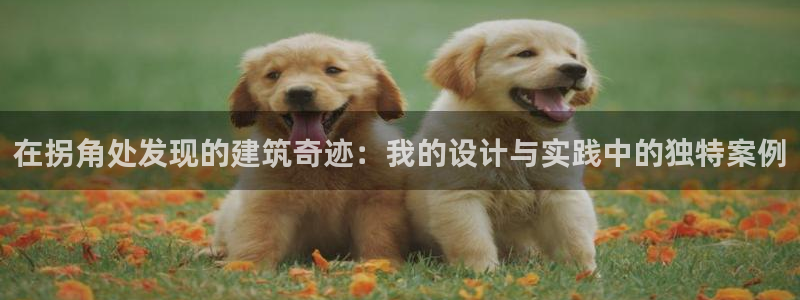 意昂3集团logo：在拐角处发现的建筑奇迹：我的设计与实践中的独特案例