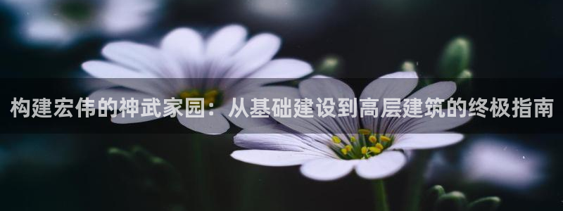 意昂平台体育：构建宏伟的神武家园：从基础建设到高层建筑的终极指南