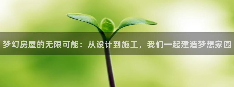 意昂体育3招商电话号码是多少号：梦幻房屋的无限可能：从设计到施工，我们一起建造梦想家园