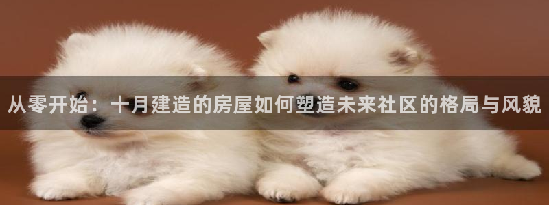 意昂体育3是干嘛的公司：从零开始：十月建造的房屋如何塑造未来社区的格局与风貌