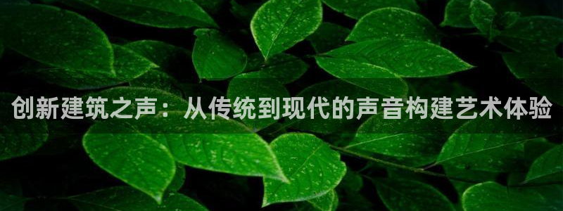 意昂体育3官方客服电话：创新建筑之声：从传统到现代的声音构建艺术体验