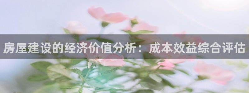 意昂3集团logo：房屋建设的经济价值分析：成本效益综合评估