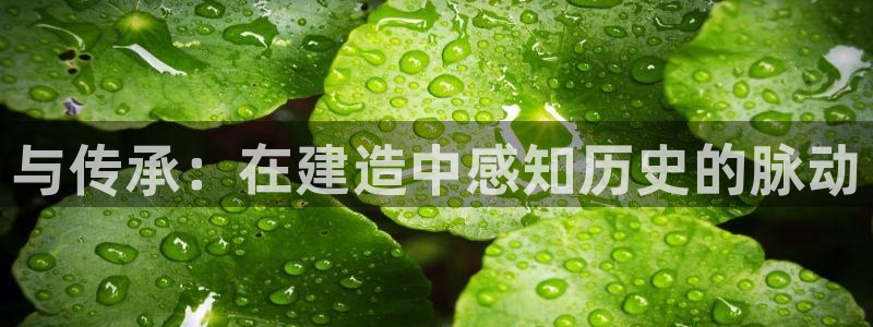 意昂体育3官方客服电话：与传承：在建造中感知历史的脉动