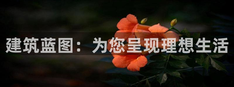 意昂平台体育：建筑蓝图：为您呈现理想生活