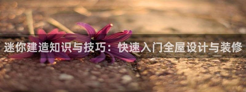 海南意昂体育3发展怎么样：迷你建造知识与技巧：快速入门全屋设计与装修