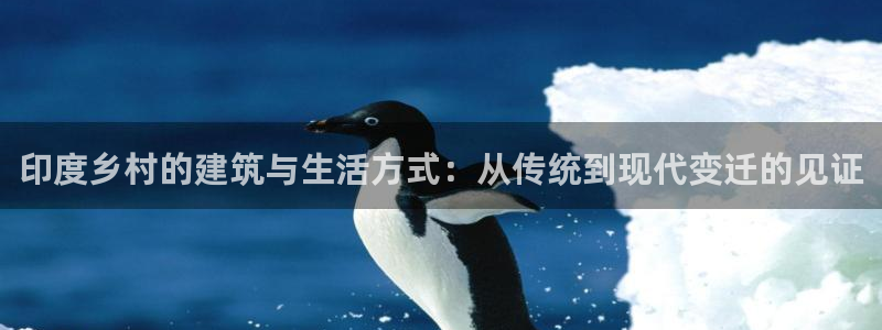 意昂体育3平台注册流程视频：印度乡村的建筑与生活方式：从传统到现代变迁的见证