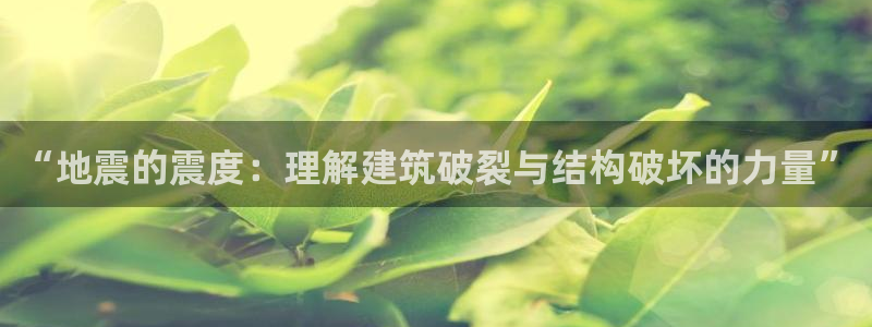 意昂3集团：“地震的震度：理解建筑破裂与结构破坏的力量”
