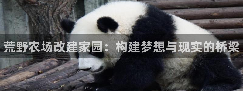 意昂体育3招商电话号码查询：荒野农场改建家园：构建梦想与现实的桥梁