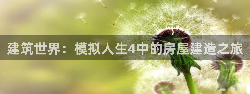 意昂3娱乐40996：建筑世界：模拟人生4中的房屋建造之旅
