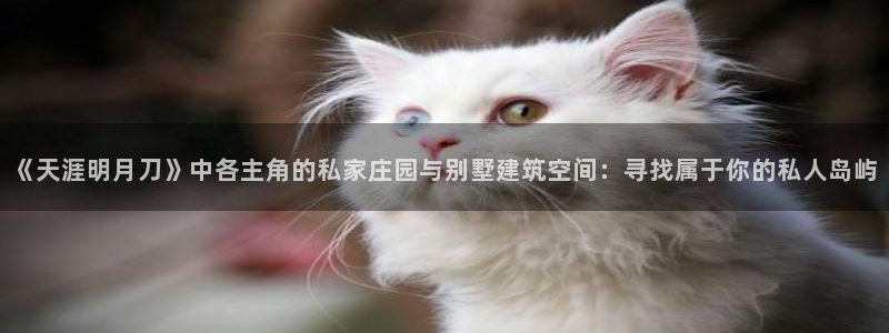 意昂体育3招商电话号码：《天涯明月刀》中各主角的私家庄园与别墅建筑空间：寻找属于你的私人岛屿