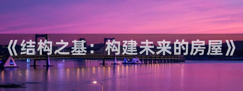 意昂体育3平台APP：《结构之基：构建未来的房屋》
