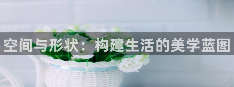 意昂体育3平台注册要钱吗是真的吗：空间与形状：构建生活的美学蓝图