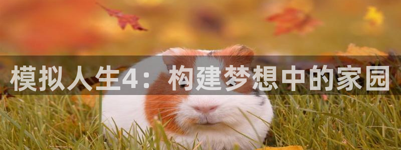 意昂体育3招商电话是多少号码