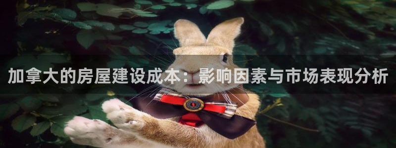 意昂体育3招商电话是多少：加拿大的房屋建设成本：影响因素与市场表现分析