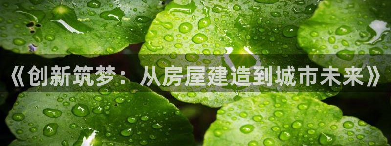 意昂体育3联系电话：《创新筑梦：从房屋建造到城市未来》