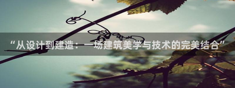 意昂体育3平台假的吗是真的吗：“从设计到建造：一场建筑美学与技术的完美结合”