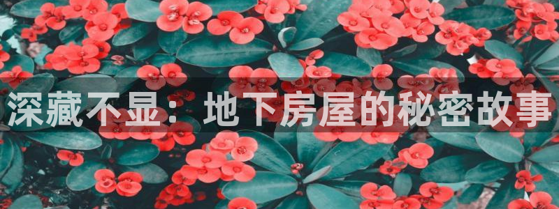 意昂体育3平台是正规平台吗知乎：深藏不显：地下房屋的秘密故事