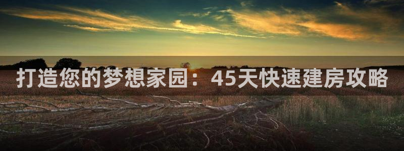 意昂3集团logo：打造您的梦想家园：45天快速建房攻略