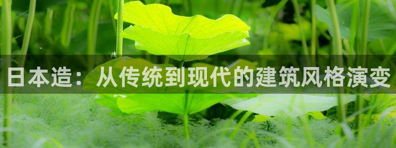 意昂3集团官网首页网址：日本造：从传统到现代的建筑风格演变