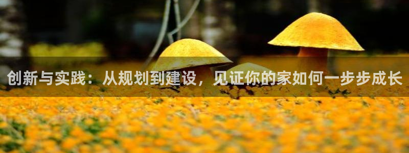 意昂体育3平台注册要钱吗安全吗：创新与实践：从规划到建设，见证你的家如何一步步成长