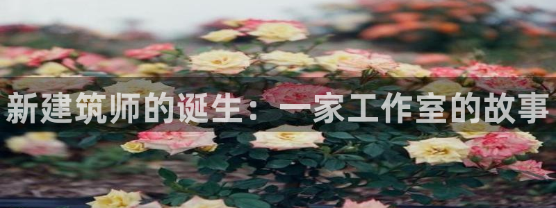 海南意昂体育3：新建筑师的诞生：一家工作室的故事