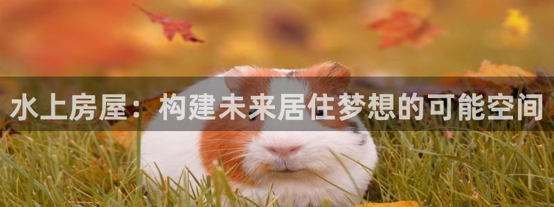 意昂体育3平台APP：水上房屋：构建未来居住梦想的可能空间