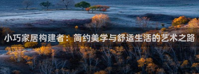 意昂体育3：小巧家居构建者：简约美学与舒适生活的艺术之路