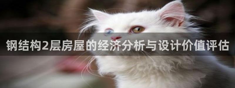 意昂3集团logo：钢结构2层房屋的经济分析与设计价值评估
