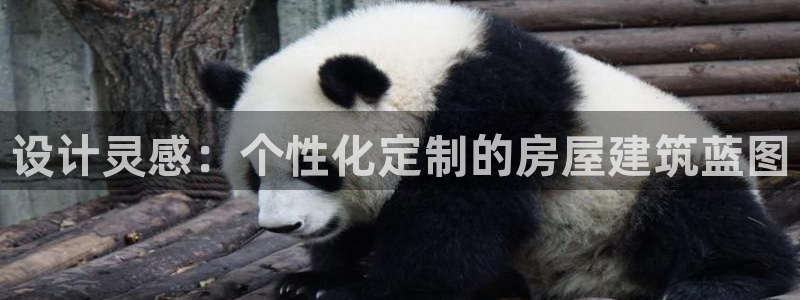 海南意昂体育3：设计灵感：个性化定制的房屋建筑蓝图