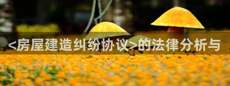 海南意昂体育3发展怎么样：<房屋建造纠纷协议>的法律分析与