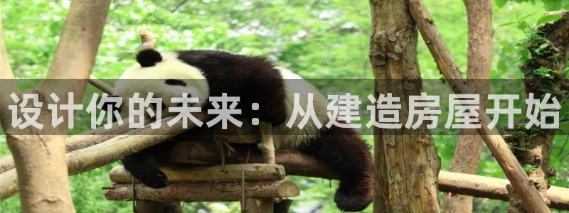 意昂体育3开户：设计你的未来：从建造房屋开始