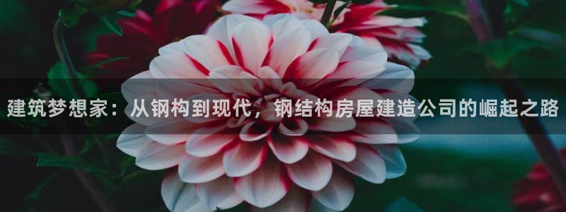 意昂3五金厂：建筑梦想家：从钢构到现代，钢结构房屋建造公司的崛起之路