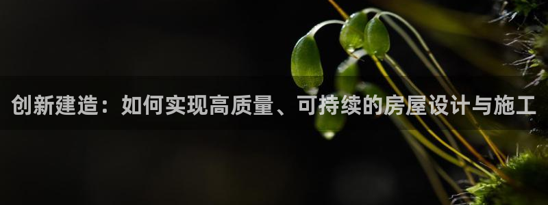 意昂3新能源：创新建造：如何实现高质量、可持续的房屋设计与施工