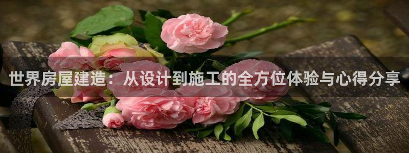 意昂3神州：世界房屋建造：从设计到施工的全方位体验与心得分享