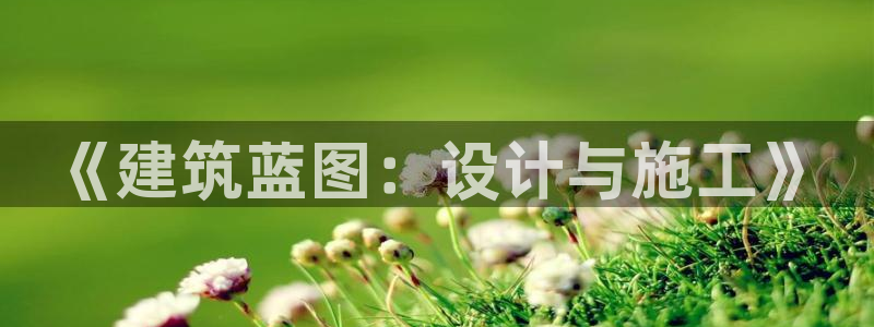 意昂体育3平台注册要钱吗：《建筑蓝图：设计与施工》