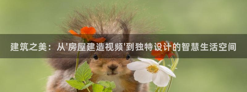 意昂3集团：建筑之美：从\'房屋建造视频\'到独特设计的智慧生活空间