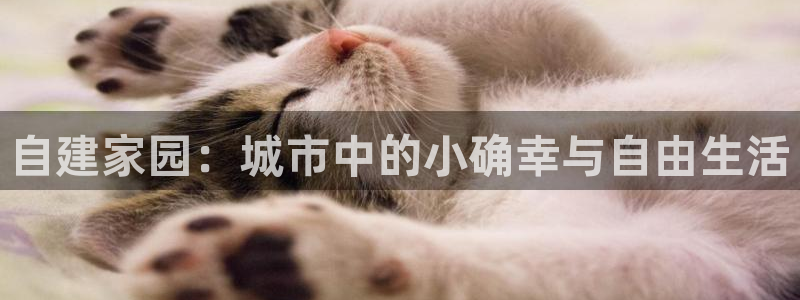 意昂3新能源：自建家园：城市中的小确幸与自由生活