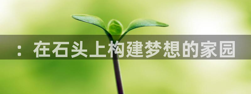 意昂体育3官方客服电话：：在石头上构建梦想的家园