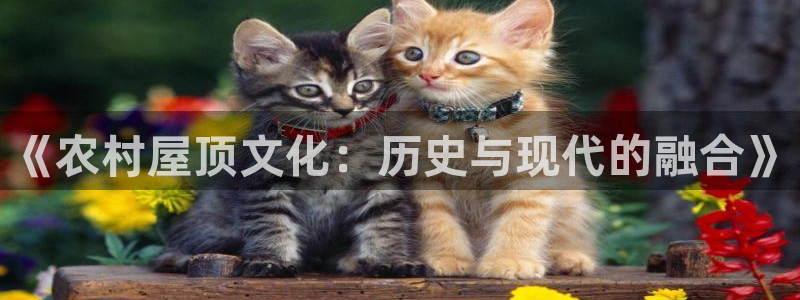 意昂集团官网：《农村屋顶文化：历史与现代的融合》