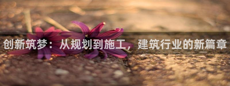 意昂3神州：创新筑梦：从规划到施工，建筑行业的新篇章