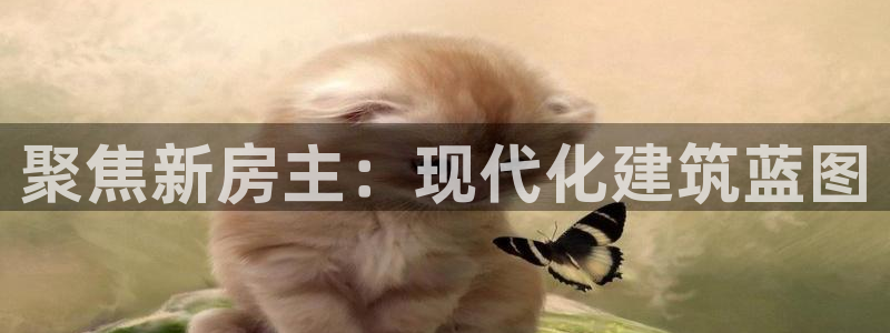 意昂体育3平台假的吗是真的吗：聚焦新房主：现代化建筑蓝图