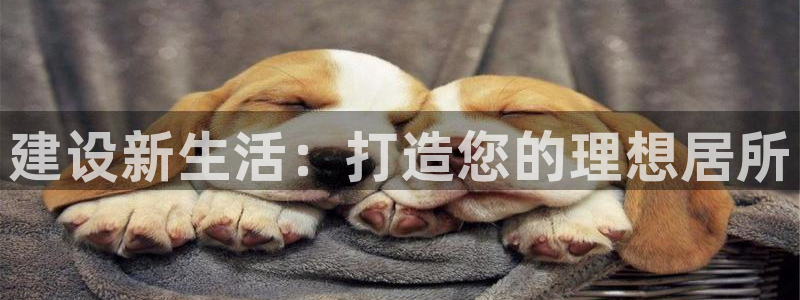 意昂3集团官网首页：建设新生活：打造您的理想居所