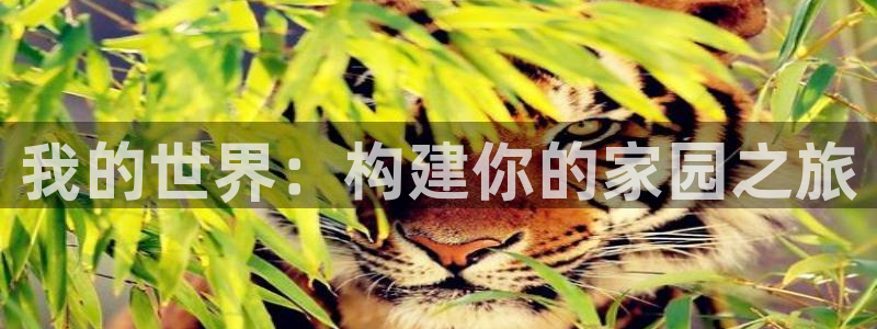 意昂3神州：我的世界：构建你的家园之旅