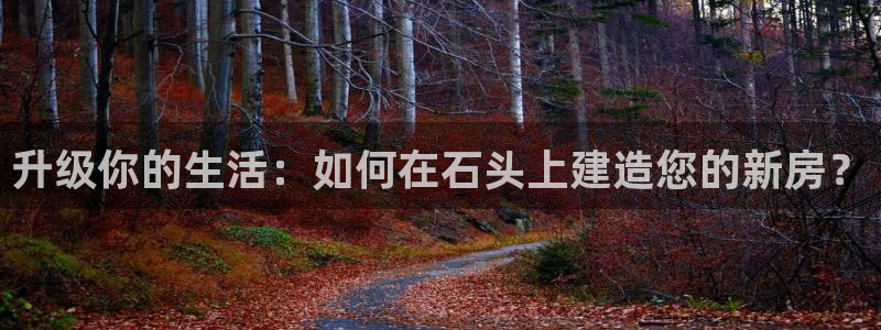 意昂3集团官网网址：升级你的生活：如何在石头上建造您的新房？